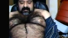 Big hairy bear and hairy body