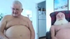 Two Silver Foxes Play On Cam